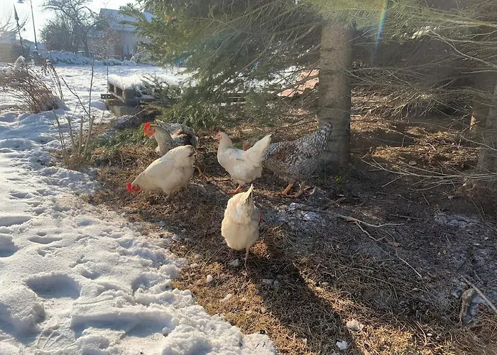 Апартаменты Entspannte Auszeit Грассау